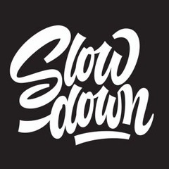 Slow Down- Douwe Bob (Cover by Jamie Lansing)