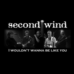 I wouldn't wanna be like you