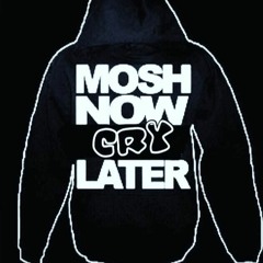Mosh Now, Cry Later