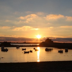 BUTTERFLY 1 17 - 04 - 16