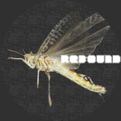 F.O.A.B. - Las1997 (Original Mix)