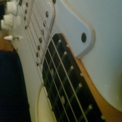 FireFly Trace - Bossa