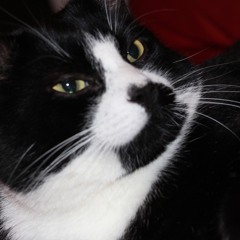 REWORK Trust Issues The Weeknd x Drake