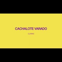 Cachalote Varado