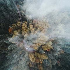 Into the Unknown