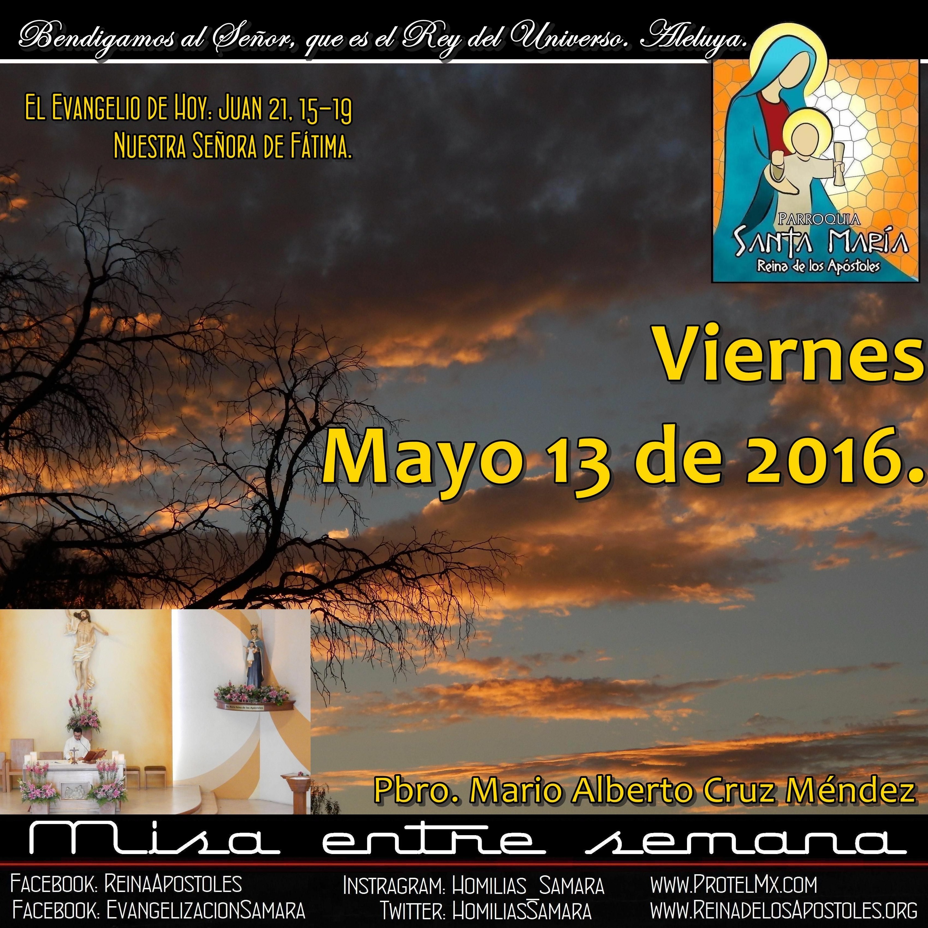 SAMARA_Saltillo #2019