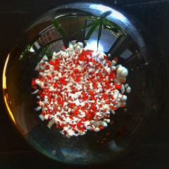 Dadras X Bobbie Bluewood - Bouncy pt 1 DEMO (2011)