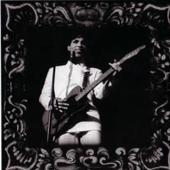 4.Prince And The New Power Generation - Elephants And Flower live