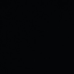 Black Diamond Freestyle