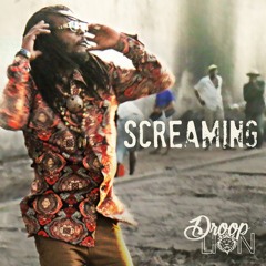 Droop Lion - Screaming (Original Mix)