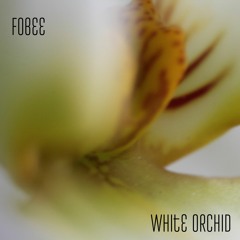 White Orchid