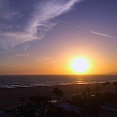 perfect day