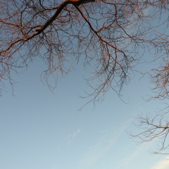 Sleeping By Myself - Pearl Jam Cover