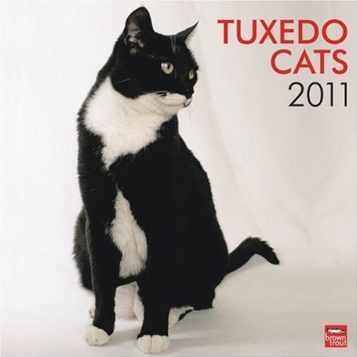 Stream Tuxedo Cats 2011 Square 12X12 Wall Calendar (Multilingual Edition)  download pdf from Dodds | Listen online for free on SoundCloud