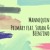Artwork for PRIMARY(프라이머리) - Mannequin(마네퀸) (cover by shiinji & iKONKINGS/gyaesae)