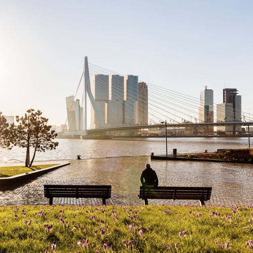 Lonely Boy - Mixed Signals (Matt Meler Remix)