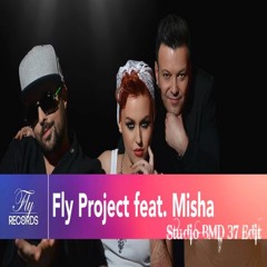 fly