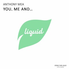 Anthony Mea - You, Me And... (Original Mix)