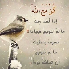 دعاء يارب بصوت د محمد الصبيحي