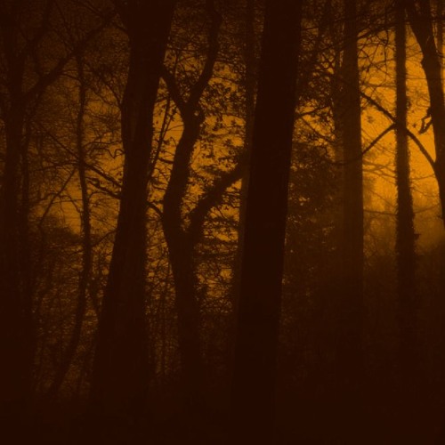 Gas - Pop 2 (Eternal Note Rework)