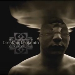 I will not bow - Breaking Benjamin (acoustic cover)