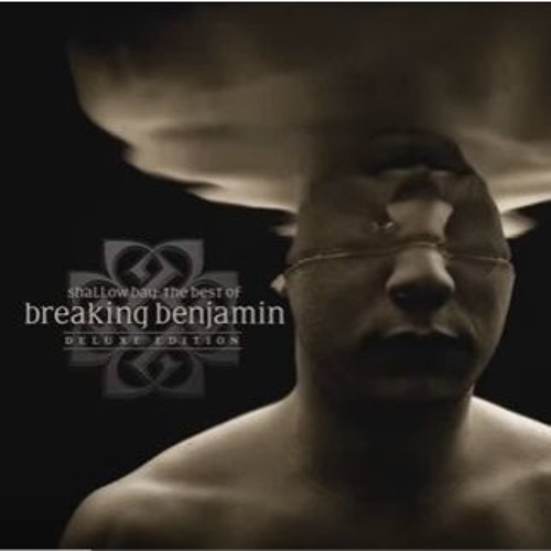 I will not bow - Breaking Benjamin (acoustic cover)