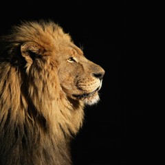 Levo - Bez Teba (Andy CJ Remix)