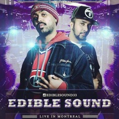 Can't Stop Tha Shine - Edible Sound ~33~