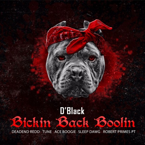 Bickin Back Boolin ft. Tune x DeadEnd Redd x Ace Boogie x Sleep Dog x Robert Primes PT
