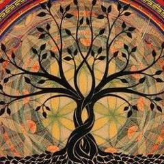 demo diwan romeo vane enfermo.mp3