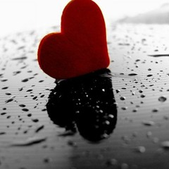 شيلة معوض خير عبدالله الطواري