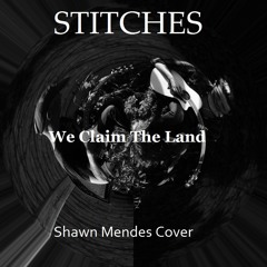 Stitches - (Shawn Mendes Acoustic Cover)**FREE DOWNLOAD**