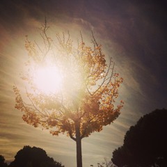 Tomorrow Says Goodbye