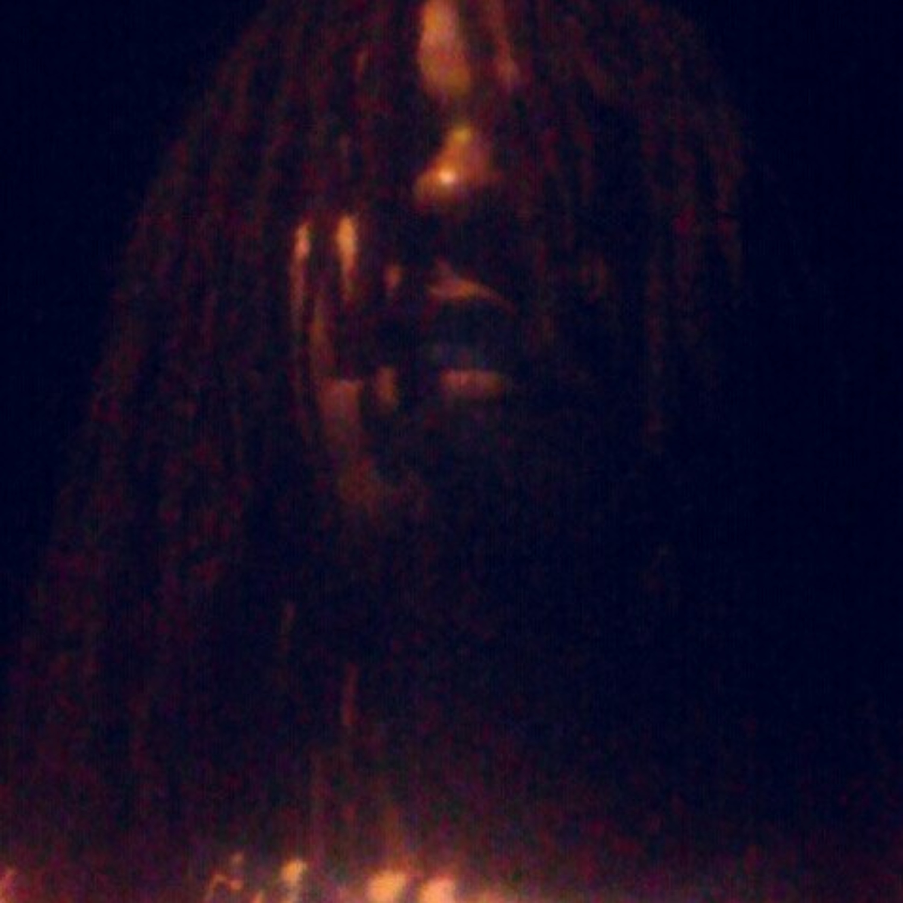 Cityboy Ari