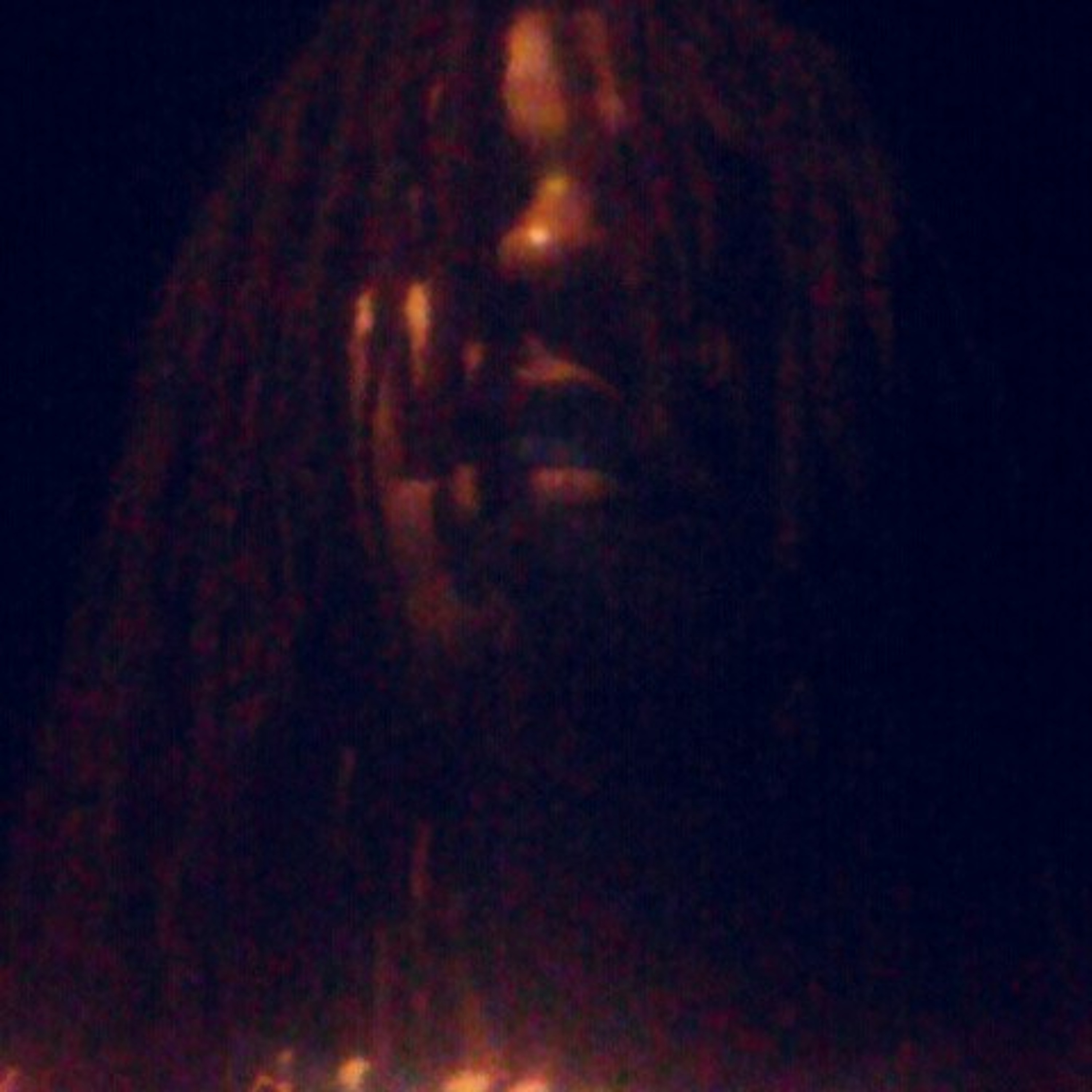 Cityboy Ari