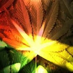 Ze Vans Misse Parfaite 2X16 (From Taipivai)