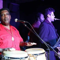 Descarga Tropical Chameleon