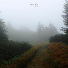 Woods [Single Version]