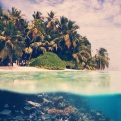 Future House, EDM..... Mix by Ankör