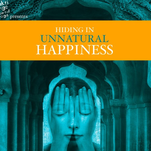 Hiding In Unnatural Happiness Book Launch Presentation