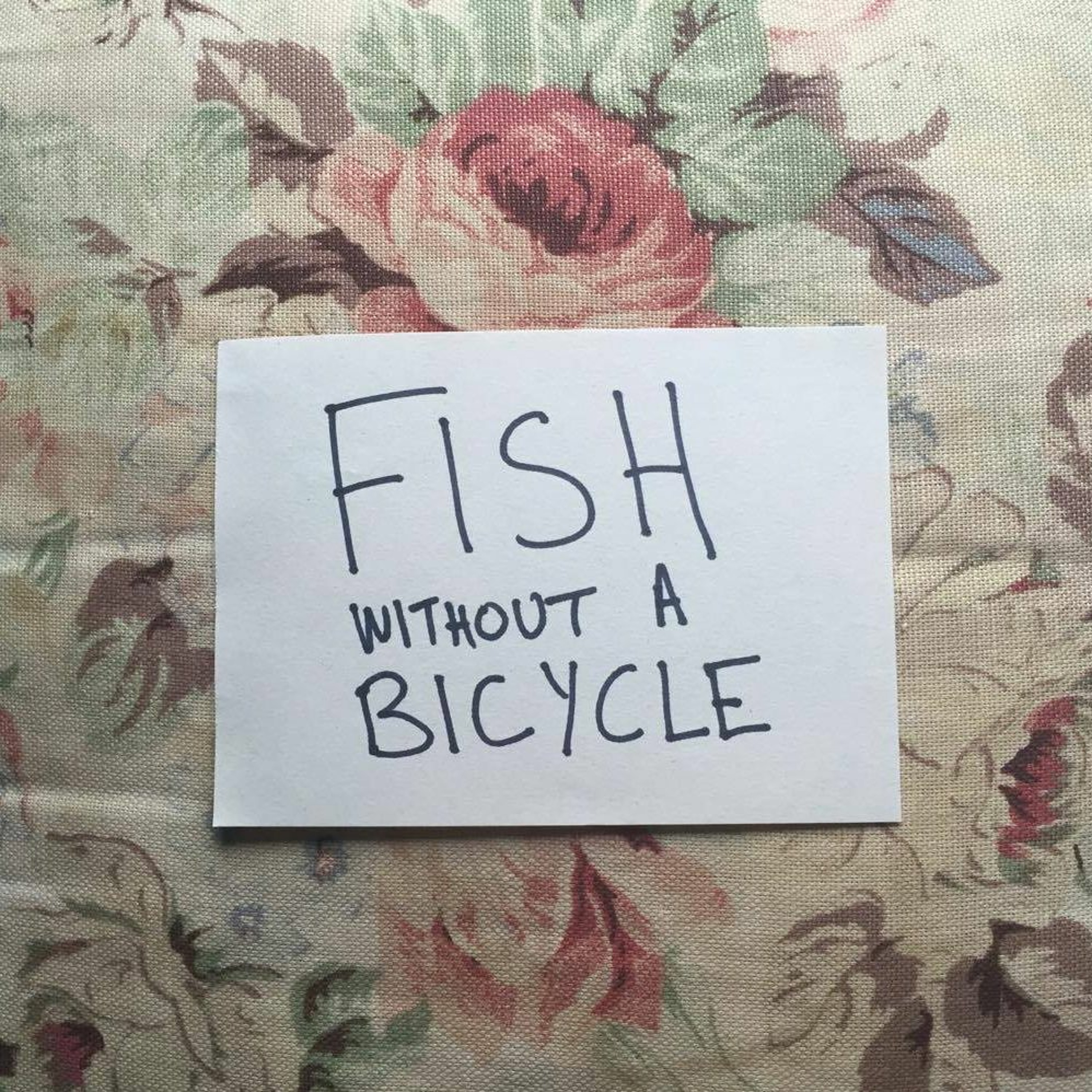 Fish Without A Bicycle | Vagina episode artwork