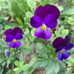 Everything Happens To Me