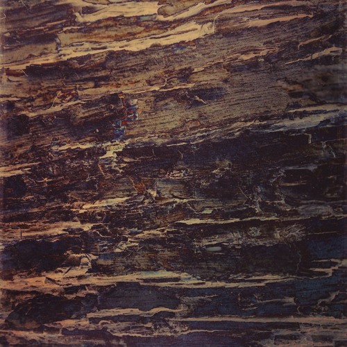 ｆｏｓｓｉｌｉｚｅ_