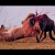 Artwork for Wildebeest