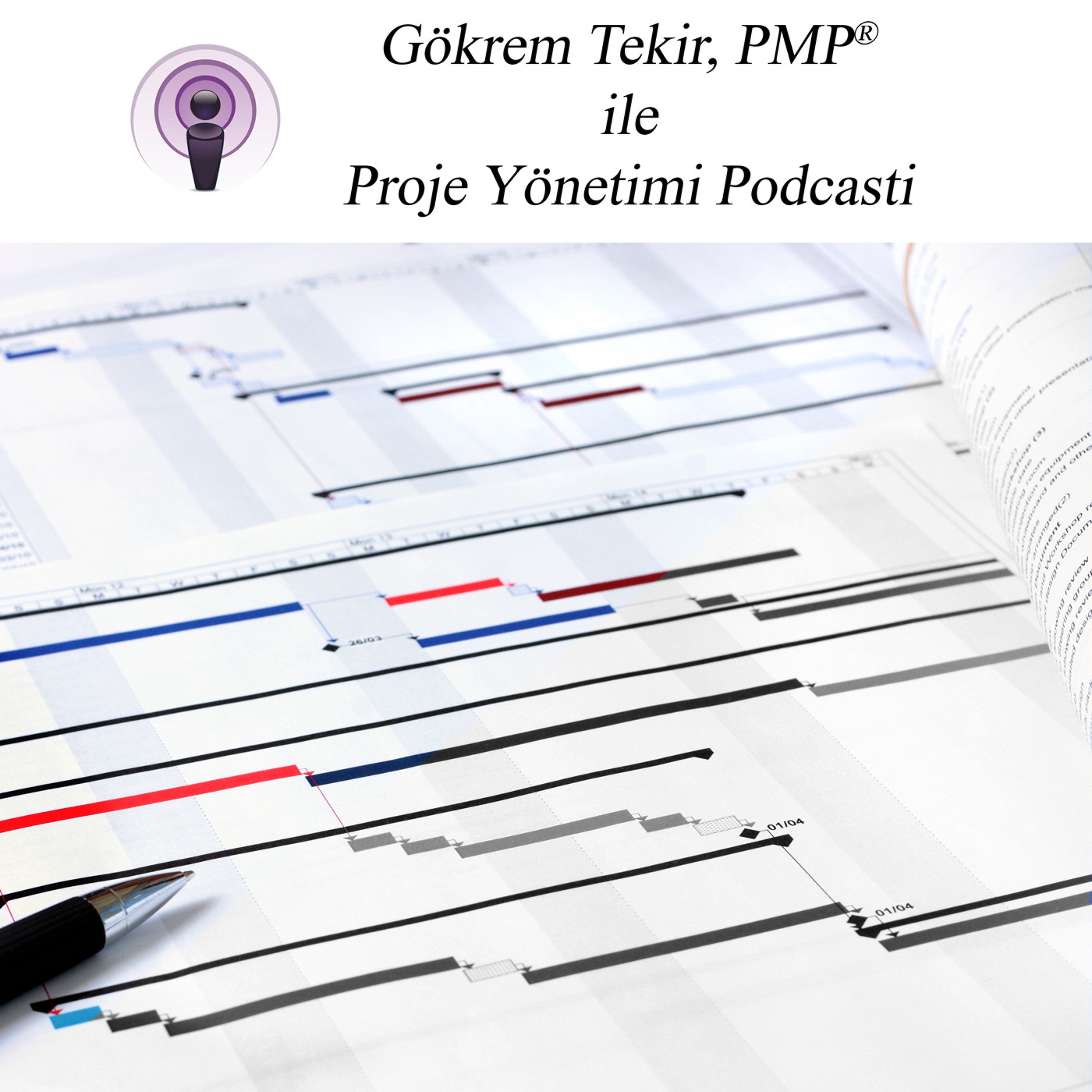 Proje Yönetimi