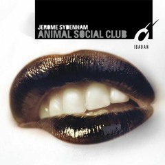 Jerome Sydenham & Aschka - Time Wave Zero [IRC113]