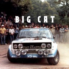 What's Going On Here?