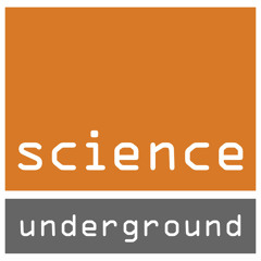 How Lightning Makes Magnets