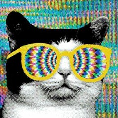 PsycoKat - Truc De Ouf