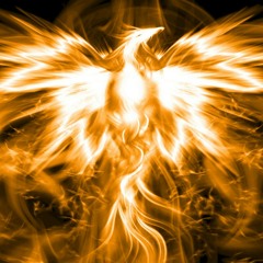 Thomas Bergensen || Colors of Love